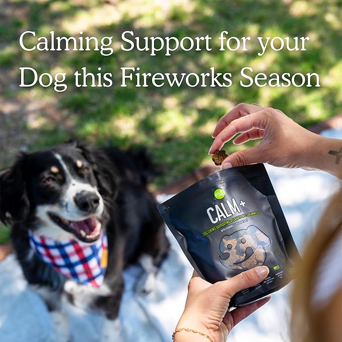 Calm+ Stress Support Dog Supplement Chews, 90 Soft Chews, Chicken Flavor, Supports Sleep & Relaxation, with Chamomile & Valerian Root, PhD Animal Nutritionist Formulated, Produced in USA