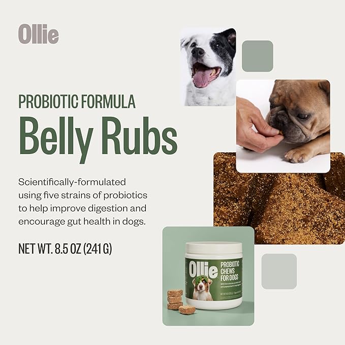 Ollie Belly Rubs Dog Probiotic Chews - Probiotics for Dogs - Dog Upset Stomach Relief - Probiotics for Dogs Digestive Health - Natural Dog Probiotics - Digestive Probiotics for Dogs - 60 count Appx.