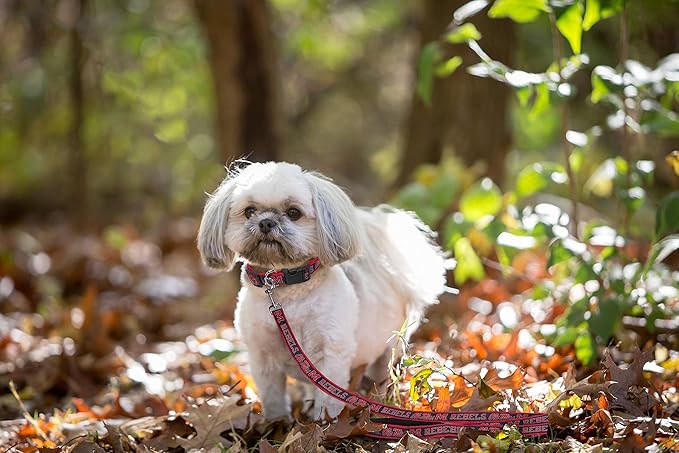 Pets First Collegiate Pet Accessories, Dog Leash, Mississippi Ole Miss Rebels, Large