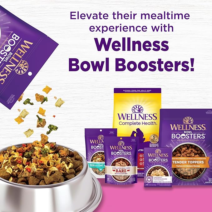 Wellness Complete Health Toy Breed Dry Dog Food with Grains, Chicken & Rice, 4-Pound Bag