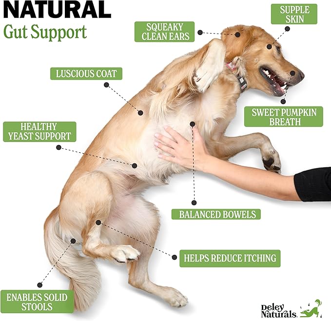 Deley Naturals Probiotics for Dogs - 120 Grain Free Chicken Soft Chews - 4 Billion CFU's, Digestive Enzymes, Prebiotics - Dog Allergies, Diarrhea, Bad Dog Breath, Constipation, Gas, Yeast- Made in USA