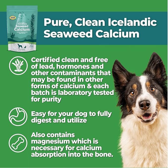 Animal Essentials Seaweed Calcium Supplement for Dogs & Cats, 12 oz (2-Pack), Iceland Seaweed Magnesium, Boron, Zinc