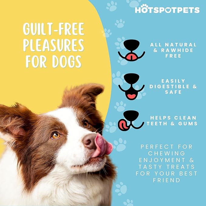 hotspot pets Braided Bully Stick Rings for Dogs - Premium All Natural Long Twisted Beef Pizzle Dog Chew Treats - Grain Free Fully Digestible Rawhide Alternative Bones