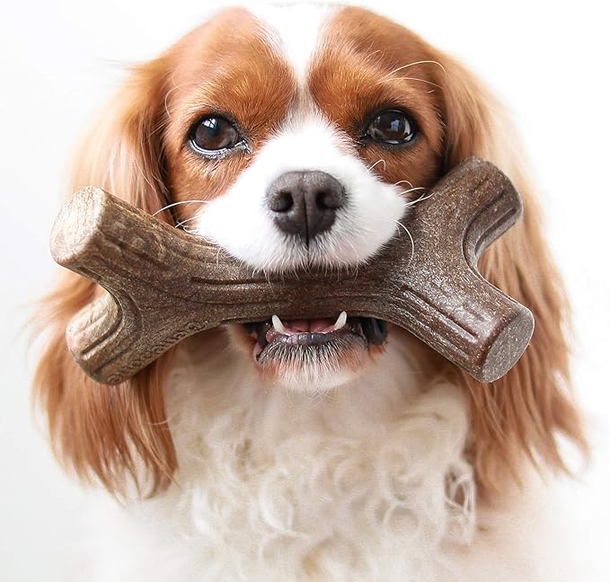 Benebone Bacon Stick Real Wood Durable Dog Chew Toy, Made in USA, Small