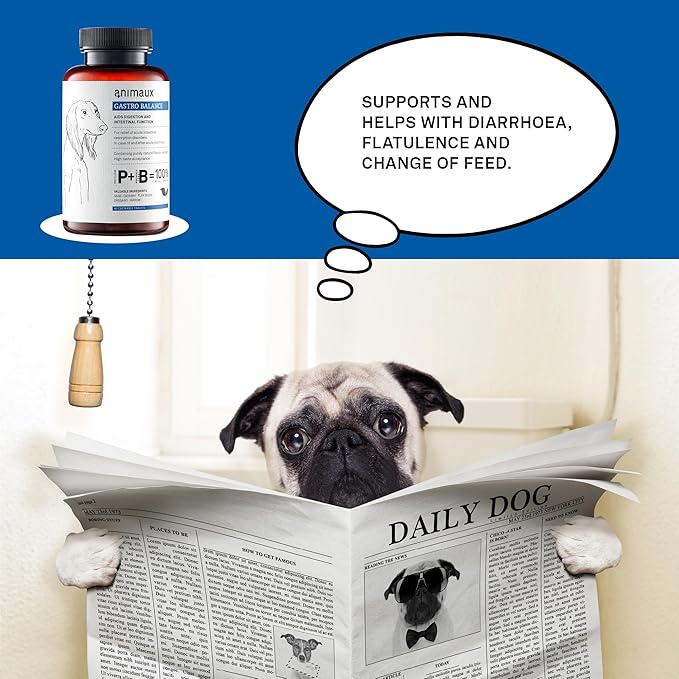 animaux – Gastro Balance for Dogs, Digestive Health Support and Probiotics, Brewer’s Yeast, Fennel, Helps to Relieve Diarrhea, Excess Winds, Irritable Bowel, 40 Chewable Tablets, 40 days supply