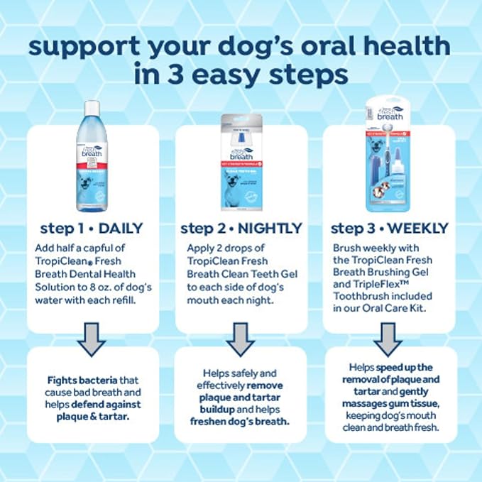 Fresh Breath Certified Wellness Collection Vet Recommended Peanut Butter Oral Care Clean Teeth Gel for Dogs, 2oz - Removes Plaque & Tartar - Cleans Teeth - Dog Dental Care - No Brushing Required