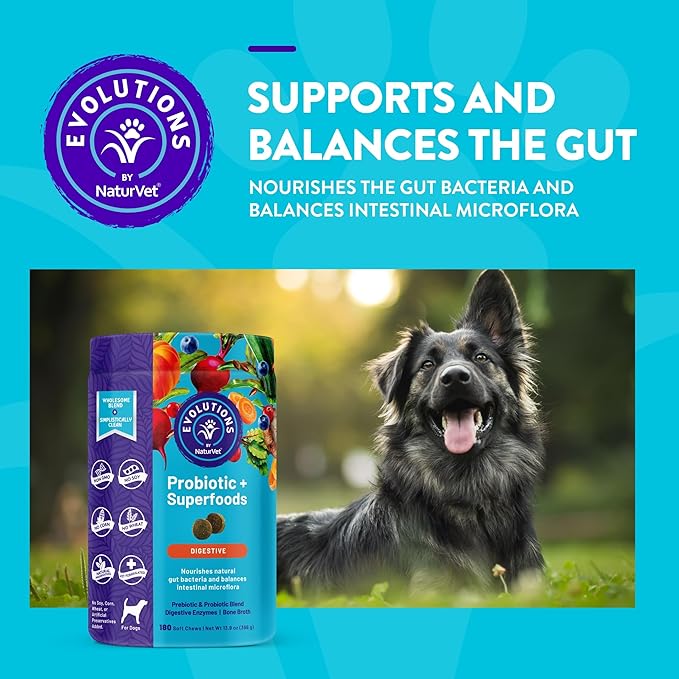 NaturVet Evolutions Probiotic & Superfoods 180ct Soft Chews for Dogs - Prebiotic & Probiotic Blend, Digestive Enzymes, Bone Broth, Omega's - Nourishes Natural Gut Bacteria and Intestinal Microflora