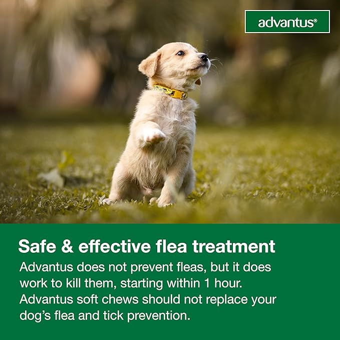 Dog Advantus Chewable Flea Treatment for Dogs 4 - 22 lbs. | 30 ct.