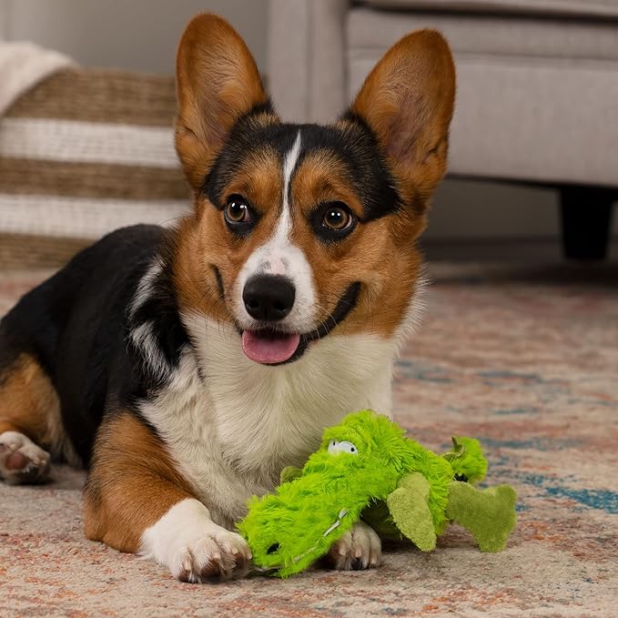 goDog PlayClean Gator Squeaky Plush Dog Toy with Odor-Eliminating Essential Oils, Chew Guard Technology - Green, Small