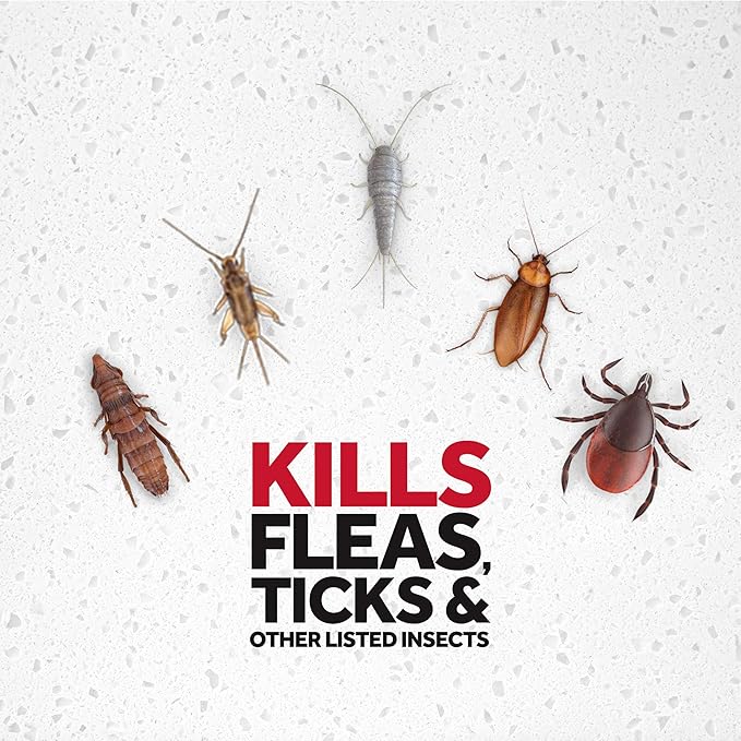 Raid Flea Killer, Kills Fleas, Crickets, Roaches, Silverfish and Ticks, Use in your Home or on your Dog, 16 oz (Pack of 6)