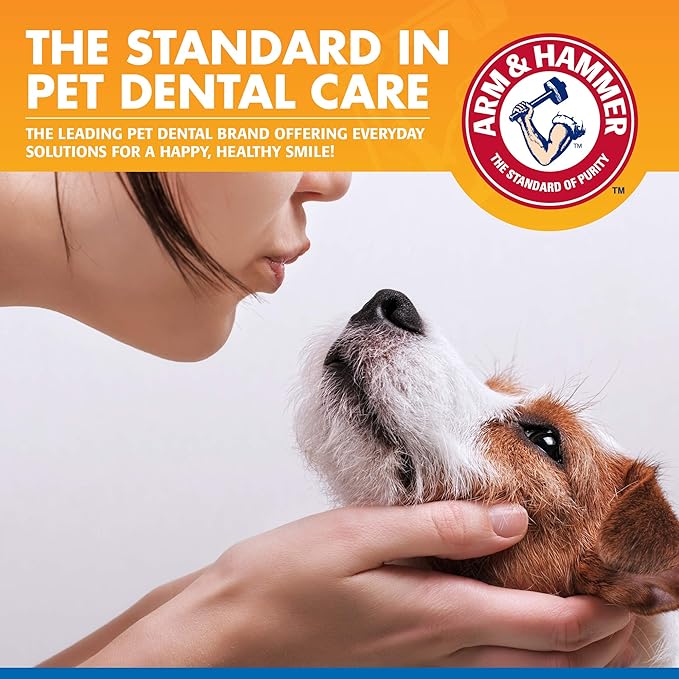 Arm & Hammer for Pets Dental Water Additive for Dogs, Tartar Control | Dog Dental Care Reduces Plaque & Tartar Buildup Without Brushing | 16 Fl Oz (Pack of 1), Odorless and Flavorless