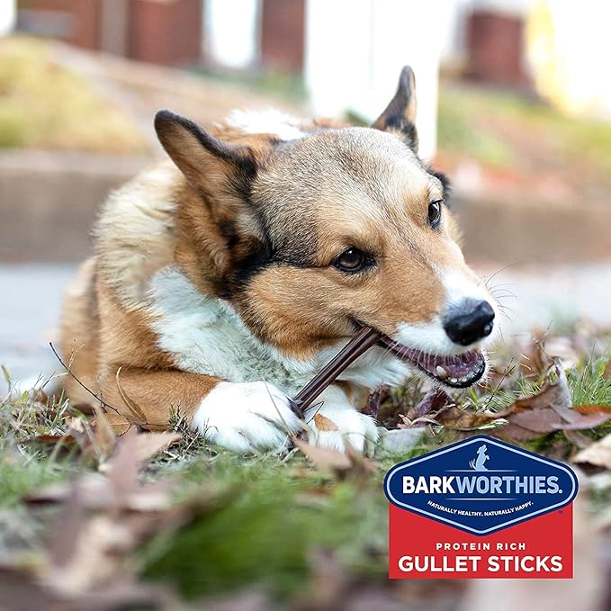 Barkworthies Beef Gullet Sticks for Dogs - 2 pk of 12 - Improved Natural Chewy Grain Free Dog Treats - Long Lasting Dog Chew - Dental Dog Treats for Healthy Teeth for Healthy Bones & Joints, E-Book