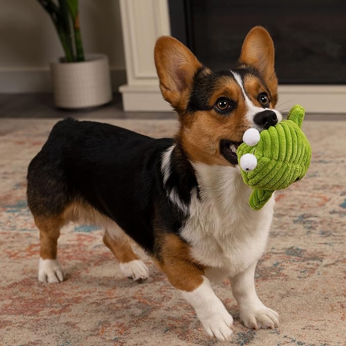 goDog PlayClean Germs Squeaky Plush Dog Toy with Odor-Eliminating Essential Oils, Chew Guard Technology - Green, Small