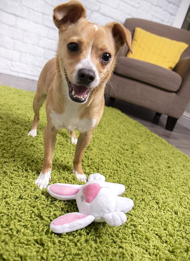 goDog Big Nose Bunny Squeaky Plush Dog Toy, Chew Guard Technology - White, Small