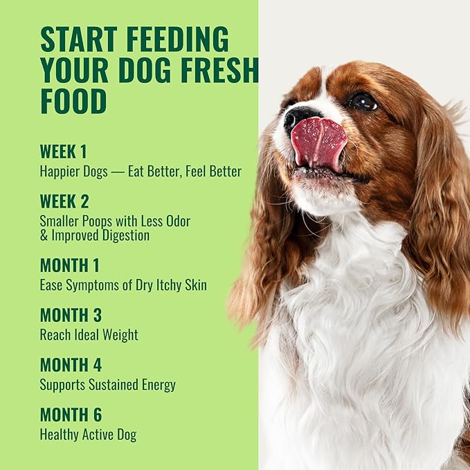 Homemade Dog Food Supplement Dog Vitamins Made in USA Add to Holistic Whole Food Diets Raw BARF All Breeds Puppy Adult 16oz Powder