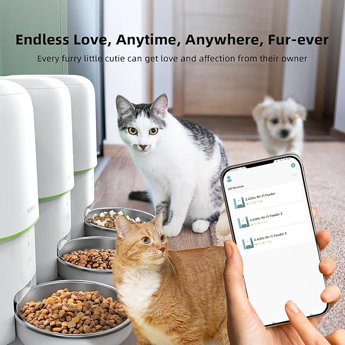 Automatic Cat Feeder WiFi - Easy to Clean 2L/4L WiFi Automatic Cat Feeder for Remote Feeding, Cat Food Dispenser with Lock Feature and Suitable Portion Size, Only 2.4GHz