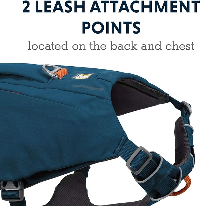 Ruffwear, Switchbak Dog Harness, Pack & Harness Hybrid for Day Trips & Everyday Use, Blue Moon, Large/X-Large