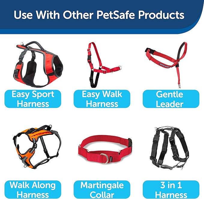 PetSafe Nylon Dog Leash - Strong, Durable, Traditional Style Leash with Easy to Use Bolt Snap - 3/4 in. x 4 ft., Red