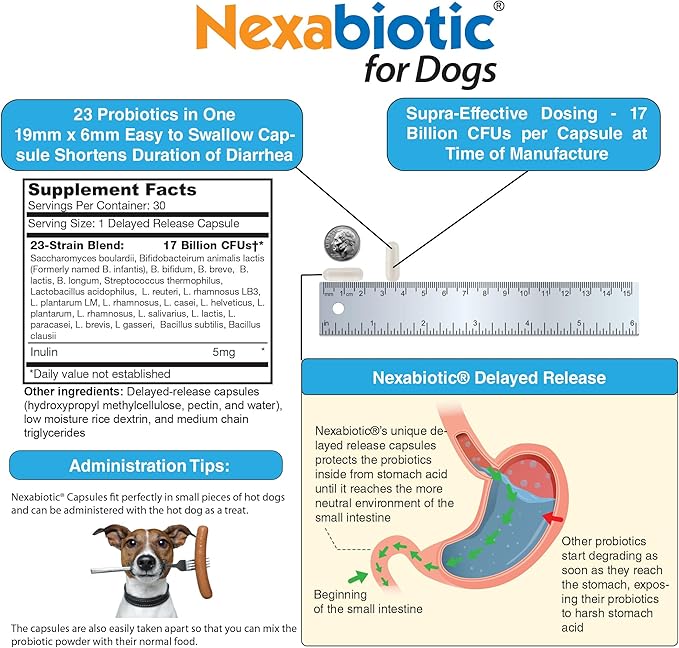DrFormulas Probiotics for Dogs & Puppies Pets Diarrhea Treatment | Flavorless, Pre-dosed, 23 Premium Nexabiotic Probiotic for Pets with Saccharomyces Boulardii, Lactobacillus Acidophilus, 30 Doses