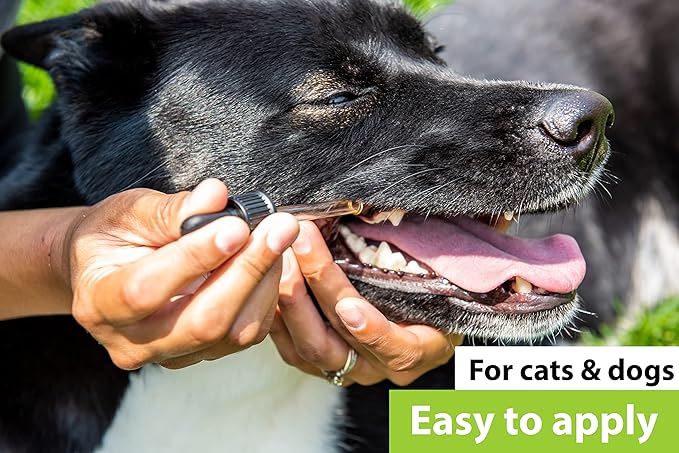 Dr. Judy Morgan's Dental Health Formula for Dogs & Cats, 1 fl oz (30 ml)