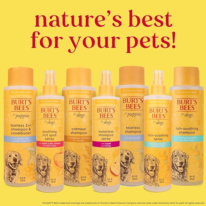 Burt's Bees for Pets Naturally Derived Itch Soothing Shampoo with Honeysuckle - Anti-Itch Dog Shampoo for All Dogs - Cruelty Free, Formulated without Sulfates and Parabens, Made in the USA, 16 Ounces
