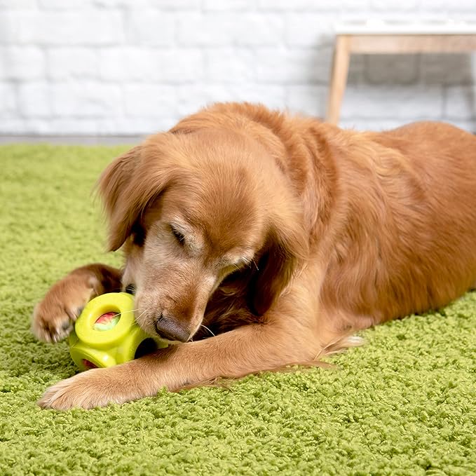goDog Cage Ball 2-in-1 Burrow Bounced w/Furballz Squeaky Plush Ball Dog Toy - Yellow, One Size