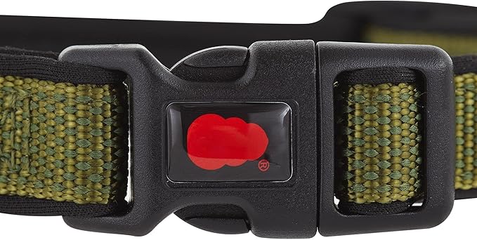 KONG Comfort Neoprene Padded Dog Collar offered by Barker Brands Inc. (Medium, Green)