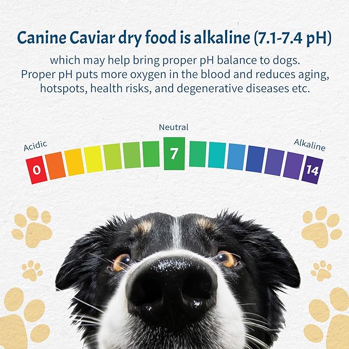 Canine Caviar Open Meadow Dog Food – Limited Ingredient Alkaline Holistic Dog Food – All Life Stages – Gluten Free, Ultra-Premium Dog Food – Healthy Skin & Coat – Lamb & Pearl Millet – 22 lbs