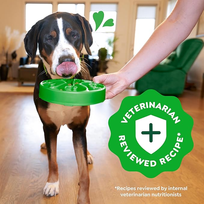 Greenies Smart Essentials Adult Large Breed High Protein Dry Dog Food Real Chicken & Rice Recipe, 15 lb. Bag