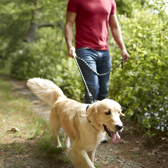Franklin Pet Supply Nylon Dog Leash - Rope - Reflective - Dog Training - 6 Foot - Dog Walking - Ultra Strong