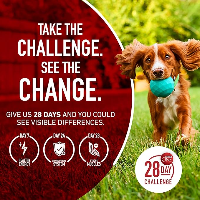 Purina ONE Plus Joint Health Formula Natural With Added Vitamins, Minerals and Nutrients Dry Dog Food - 31.1 lb. Bag