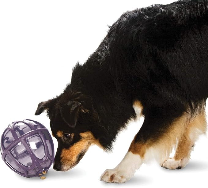 PetSafe Busy Buddy Kibble Nibble - Dog Toy - Treat and Food Dispenser - Slow feeder - Medium/Large