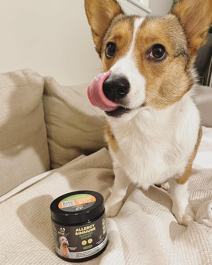 Googipet Dog Allergy Chews -Dog Allergy Relief & Itchy Skin Relief -Dog Skin & Coat Supplement +Bee Pollen, Colostrum for Dogs, Coconut Oil, Probiotics, & Omega 3 Fish Oil for Dogs Itching Skin Relief