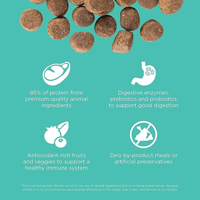 GO! SOLUTIONS Carnivore Grain Free Dog Food for Adult Dogs, 12 lb – Chicken, Turkey + Duck Recipe – Protein Rich Dry Dog Food – Complete + Balanced Nutrition for Adult Dogs