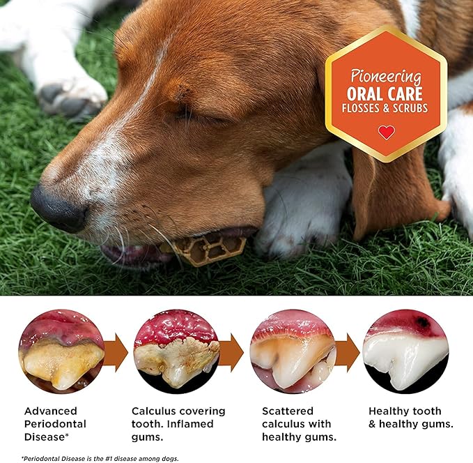 Dental Treats for Dogs | Old Version | Dental Dog Treats for Large Dogs (24oz, 18 Count)