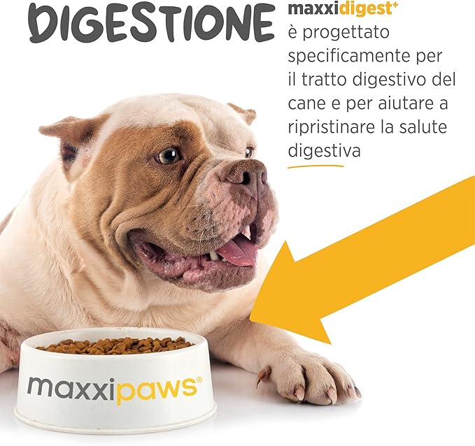 maxxidigest+ Digestive and Immune Support Supplement for Dogs with Probiotics, Prebiotics and Digestive Enzymes – 13.2 oz