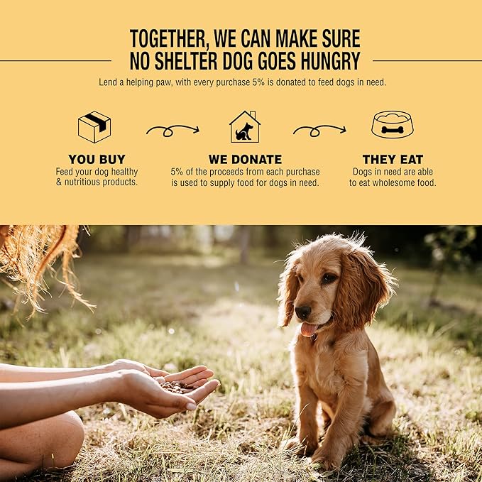 Dog for Dog Freeze Dried Dog Food Topper - Cage Free Chicken Dog Food toppers for Picky Eaters | Food toppers for Picky Dogs and Treats, All Natural & Limited Ingredient | Made in The USA - 4OZ