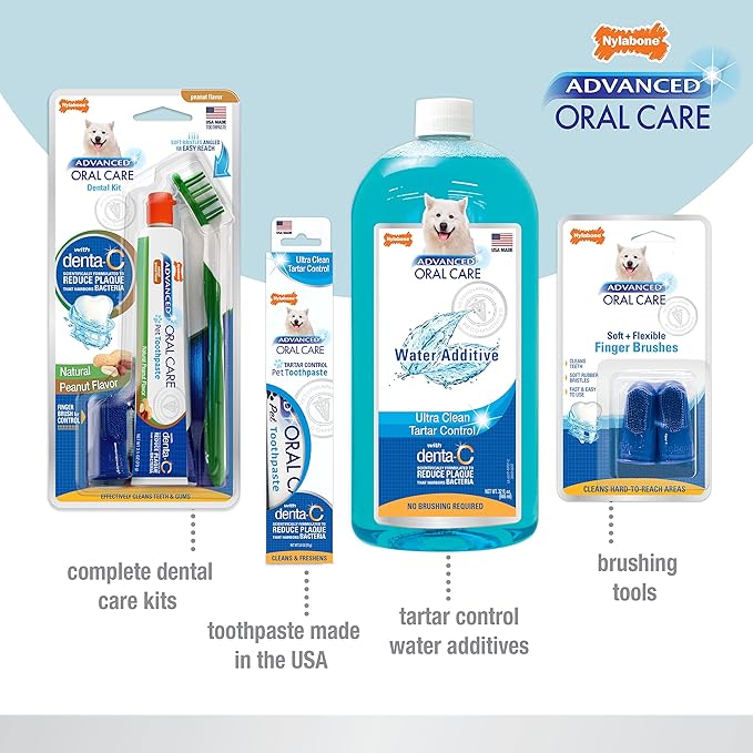 Nylabone Advanced Oral Care Tartar Control Dog Toothpaste Original 2.5 oz. (1 Count)