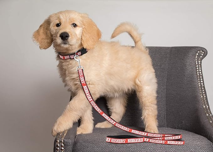 Pets First Collegiate Pet Accessories, Dog Leash, Nebraska Cornhuskers, Large