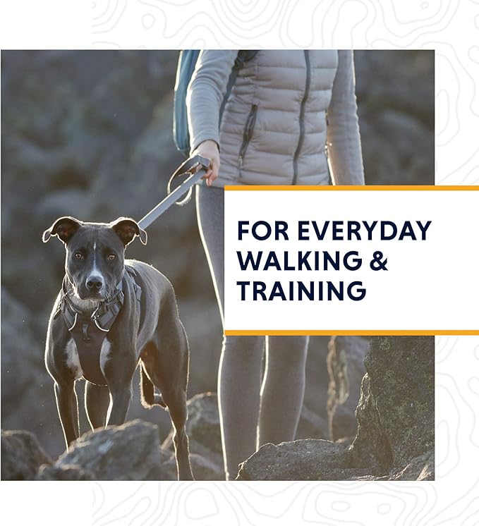 Ruffwear, Front Range Dog Harness, Reflective and Padded Harness for Training and Everyday, Twilight Gray, XX-Small