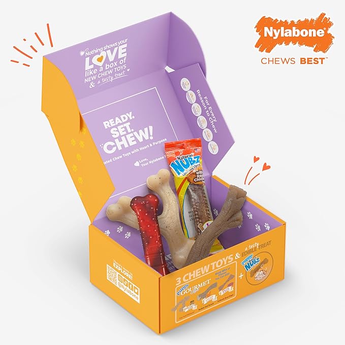Nylabone Dog Gift Box for Small Dogs - 3 Strong Chew Toys and 1 Dog Treat - Flavor Variety, Small/Regular (4 Count)