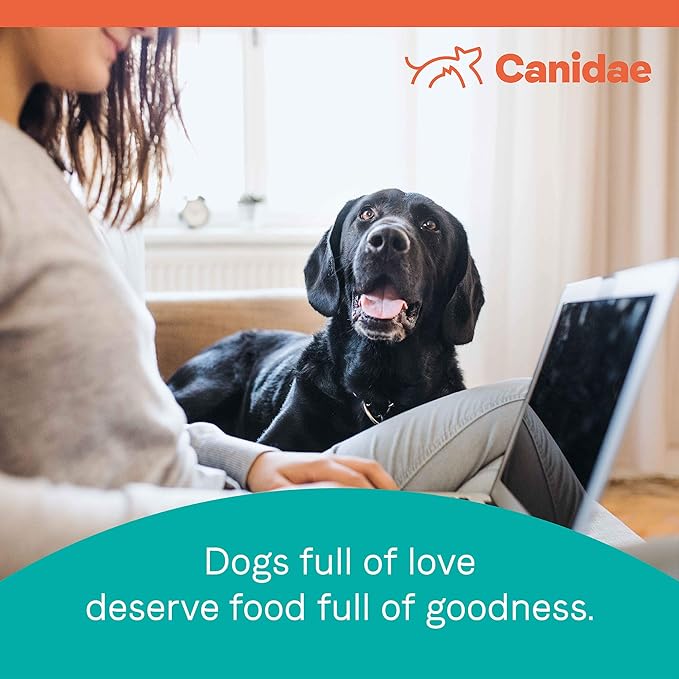 Canidae PURE Limited Ingredient Premium Adult Dry Dog Food, Lamb and Pea Recipe (New look- Real Lamb and Sweet Potato Recipe), 12 Pounds, Grain Free