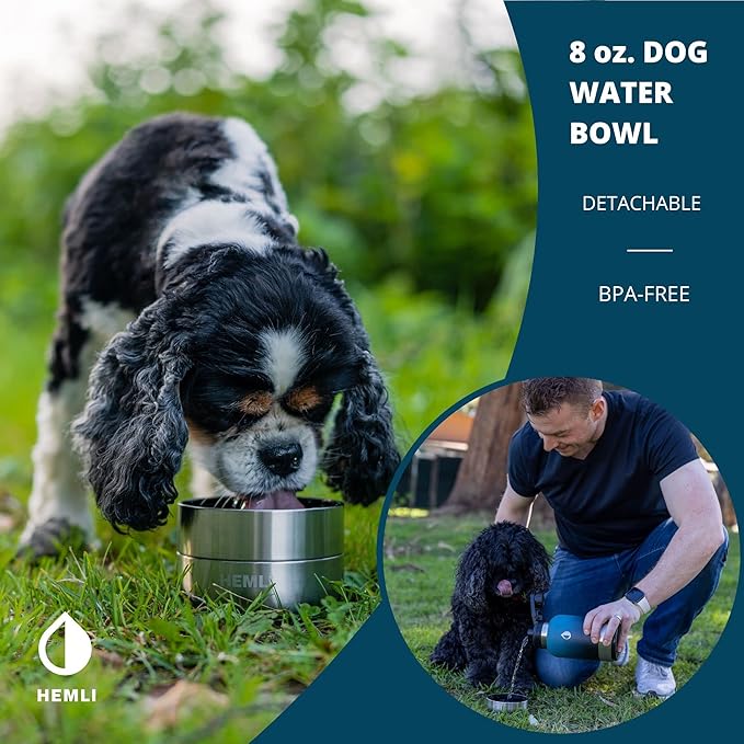 32 oz. Portable Dog Water Bottle, Dog Travel Water Bottle, Portable Water Bowl for Dogs, Dog Travel Bowel, Dog Water Bottle for Walking, Dog Travel Accessories Kit, Pet Travel Bottle for Hiking