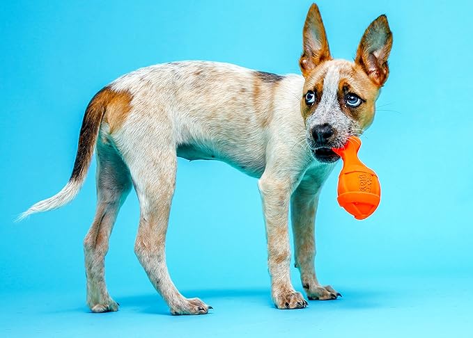 Hartz DuraPlay Bacon Scented Dog Toys Small