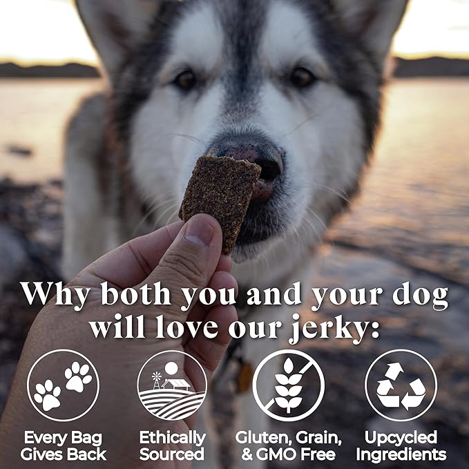 OTIS Alaskan Salmon Jerky for Dogs | Salmon Jerky Recipe - Protein Packed, Ethically-Sourced Sustainable Healthy Dog Treats - with DHA and EPA Healthy Dog Jerky Treat | 4 oz