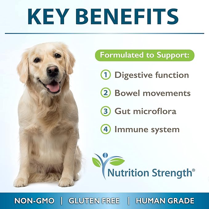 Psyllium for Dogs Complex to Promote Your Pet's Gut Health, Stimulate Healthy Digestion, Support Normal Bowel Function, with Psyllium + Inulin, Bromelain & Protease, 90 Soft Chews