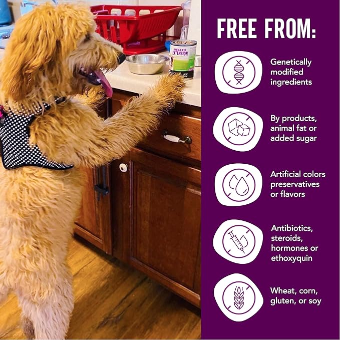 Health Extension Variety Pack of Wet Dog Food Chicken, Lamb Entree, and Turkey Entree Canned - 12.5 Oz / 374g Each, Gluten & Grain-Free, Natural Food for Puppies and Dogs, Added Vitamins & Mineral