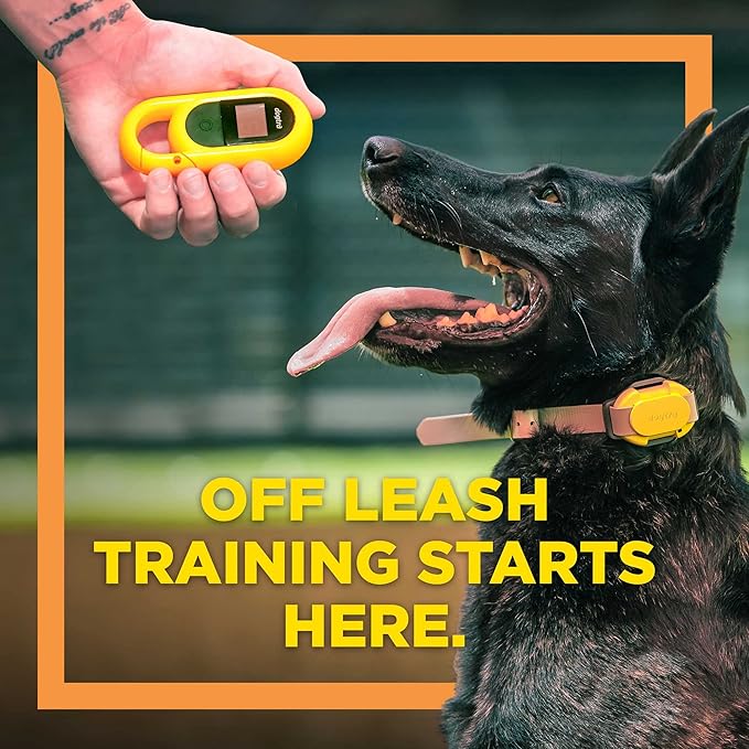 Dogtra CUE Remote Dog Training E-Collar for Small, Medium and Large Dogs - Range of 400 Yards, Waterproof, Vibrating, Rechargeable Correction Ecollar, 24 Training Levels, W/PetsTEK Clicker (2 Dogs)