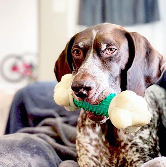 Nylabone Power Chew Double Action Barbell Bone Chew Toy, Durable Dog Toy, Bacon Flavor, X-Large/Souper (1 Count)