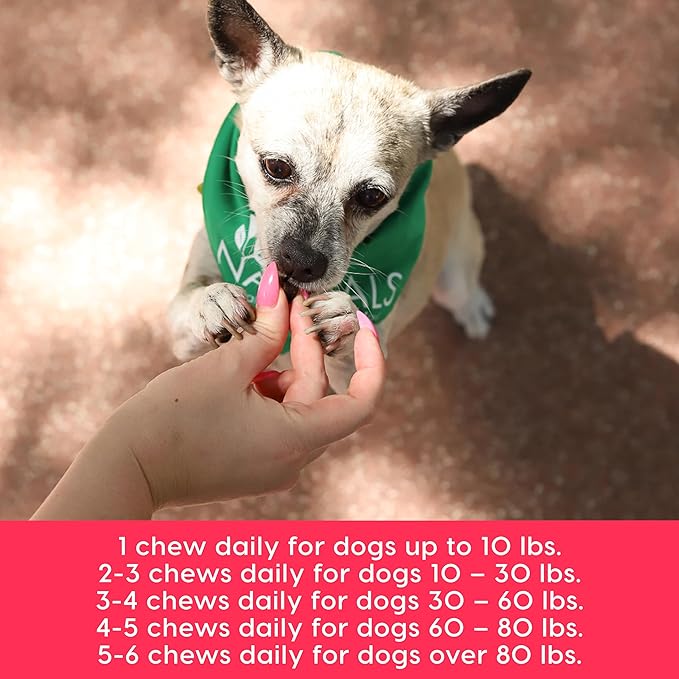 Ark Naturals Gray Muzzle Heart Healthy Wags Plenty Dog Chews, Vet Recommended for Senior Dogs to Support Heart Muscle, Blood Pressure and Circulation, Natural Ingredients, 60 Count